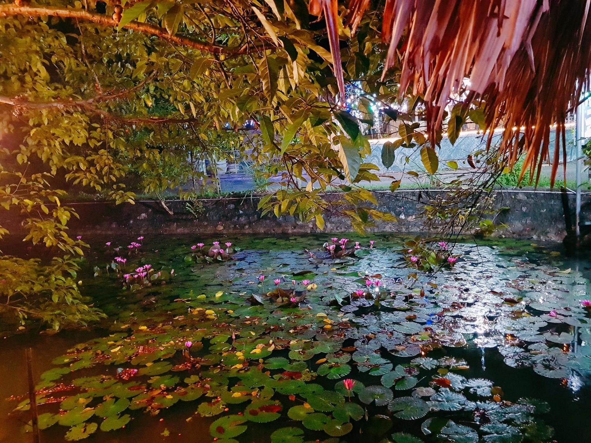 Quoc Khanh Bamboo Homestay Ninh Binh Eksteriør bilde