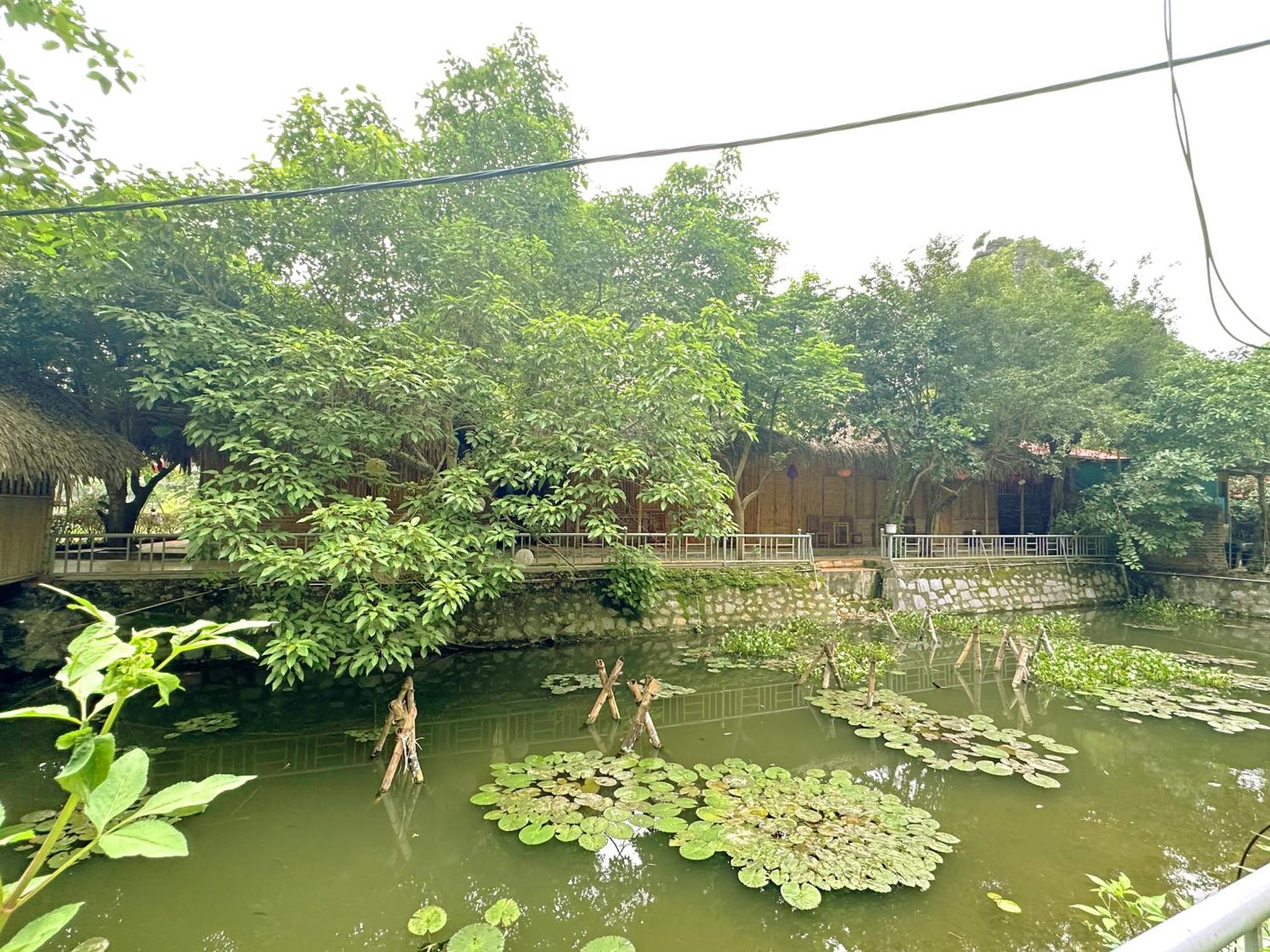 Quoc Khanh Bamboo Homestay Ninh Binh Eksteriør bilde