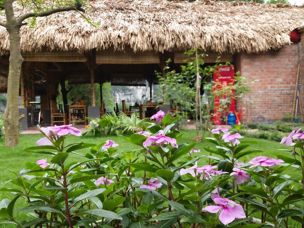 Quoc Khanh Bamboo Homestay Ninh Binh Eksteriør bilde